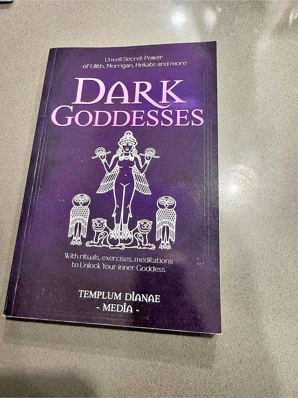 Dark Goddesses Book